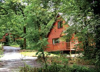 Woodland Lodges