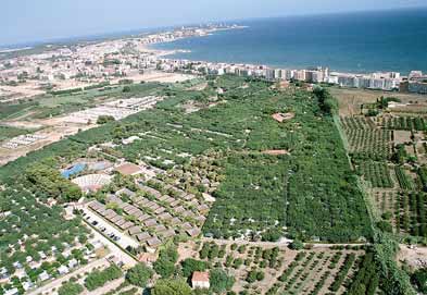Camping Sanguli 