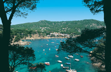 Camping Cypsela