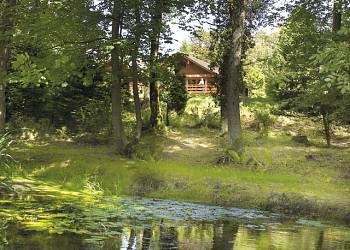 Conifer Lodges, Newton Stewart,Dumfries and Galloway,Scotland