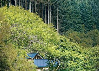 Strathyre Forest, Callander,Perth and Kinross,Scotland