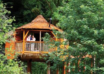 Sherwood Forest Lodges, Sherwood Forest,Nottinghamshire,England