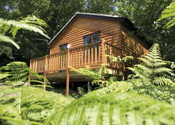 Woodland Lodges, St Clears,Carmarthenshire,Wales