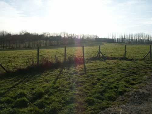 Buckhurst Farm Camping