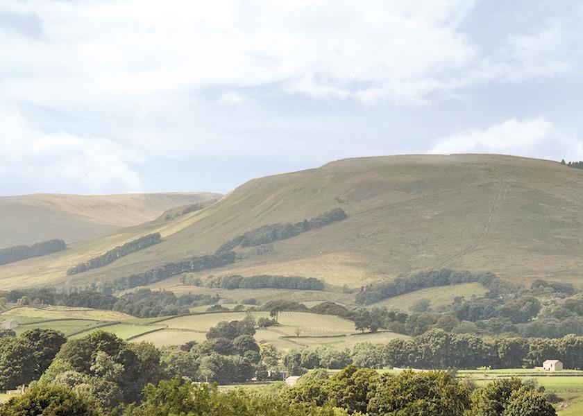 Bainbridge Ings, Wensleydale,North Yorkshire,England