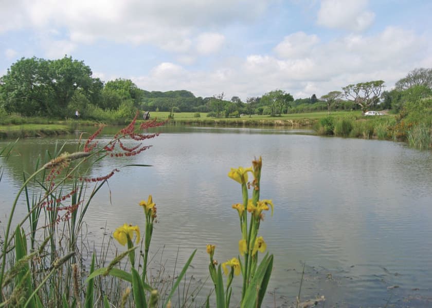 Florence Springs Glamping, Tenby,Dyfed,Wales