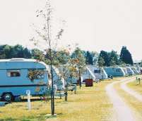 Kings Down Tail Caravan and Camping Park, Sidmouth,Devon,England