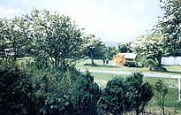 Roseville Holiday Park, Goonhavern,Cornwall,England