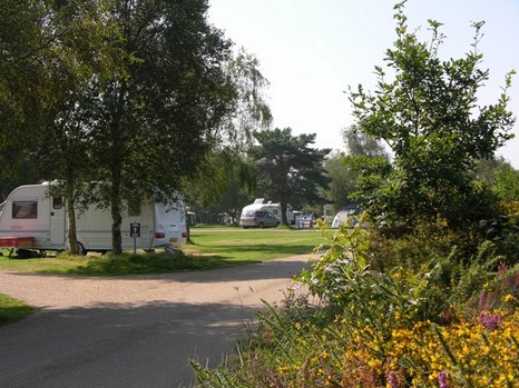 Kelling Heath, Weybourne,Norfolk,England