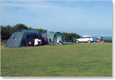 Point Lynas Caravan Park